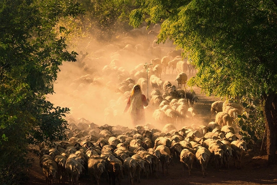 Vietnamese photographers clean up at the Pink Lady Food Photography Awards