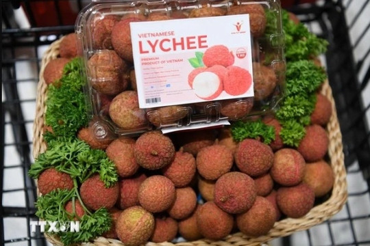 Vietnamese lychees become familiar to Thai consumers