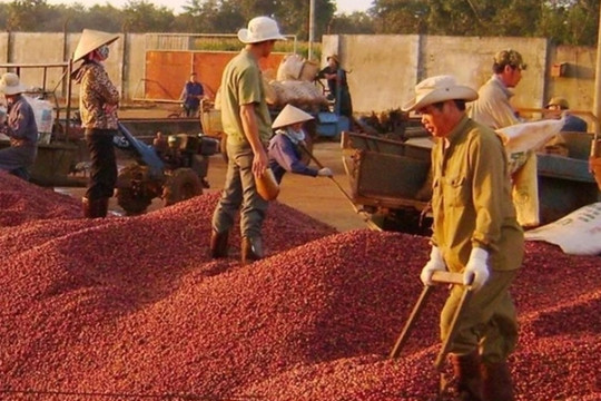 Coffee exports exceed US$3 billion