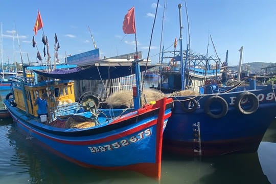 Fisherman missing at sea in Bình Định Province