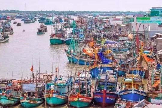 Vietnam adopts measures to have EC's IUU "yellow card" removed