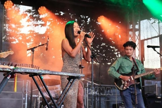 Vietnamese popular cultural festival to take place in Berlin next month