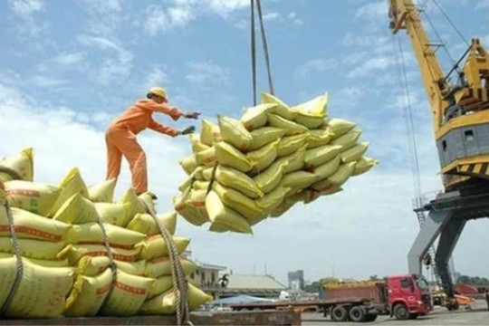 Vietnam's rice exports rise in first half of 2024