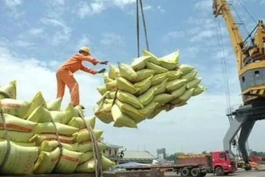 Vietnam earns US$2.98 billion from rice exports in H1