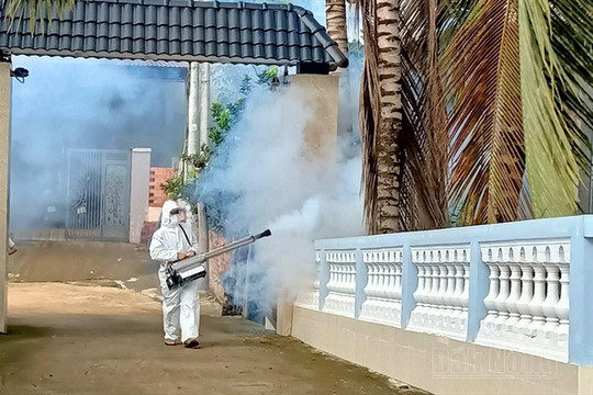 Dengue fever cases increase sharply in Đắk Nông