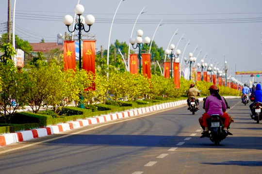 Record-breaking Vietnamese apricot blossom road recognised