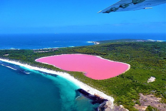 ‘Ngất ngây’ trước vẻ đẹp kỳ diệu của hồ Hillier Úc có màu hồng ngọt ngào