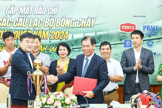 Da Nang to host third national baseball club cup