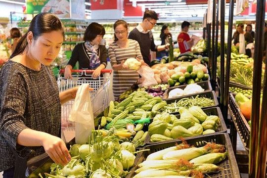 Vietnamese consumer price index to fall within limit this year, says economist