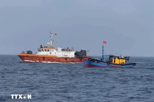 Quảng Trị: Non-stop fishing vessel monitoring proves effective in IUU fishing combat