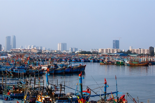 Planning of fishery port system, storm shelter areas by 2030 approved