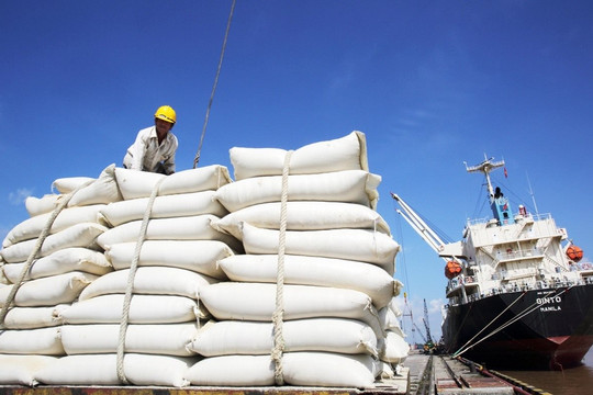 Xuất khẩu gạo của Việt Nam sang Indonesia có thể gặp bất lợi?
