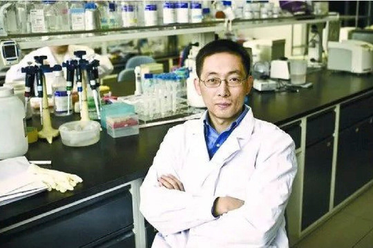 Quyết định gây tranh cãi của vị giáo sư 'giỏi nhất Trung Quốc' ở tuổi 51