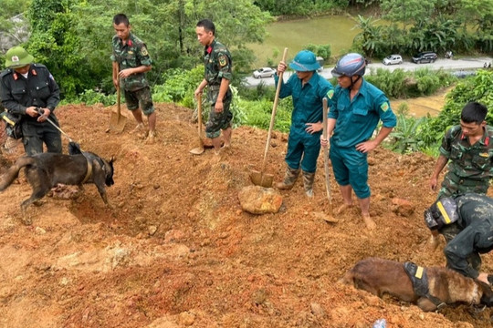 12 người chết trong vụ sạt lở ở Hà Giang, tiếp tục tìm kiếm các nạn nhân
