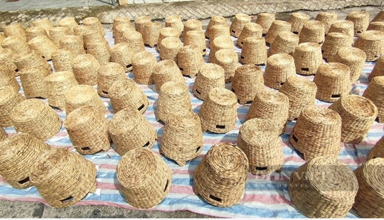 Elderly in Thái Bình keep traditional craft of cói weaving for export