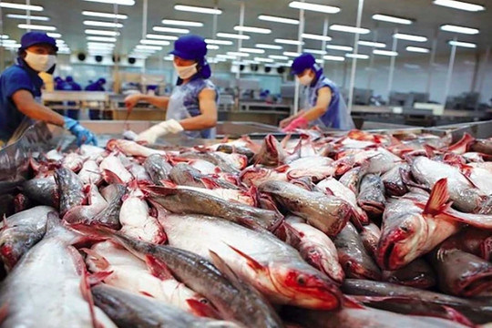 Tra fish export to CPTPP market reaches US$114 mln as of June 15