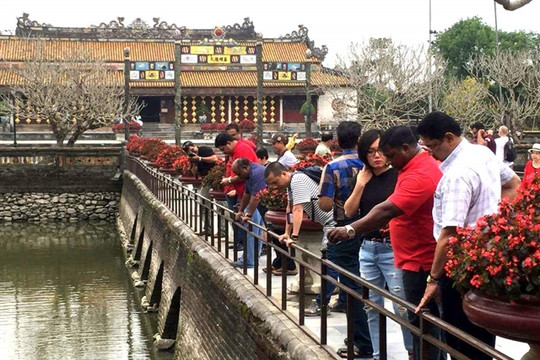 VN has advantages to attract more Indian tourists, according to experts

