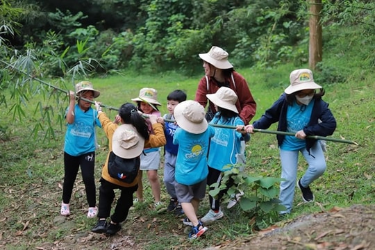 Summer camps refresh children