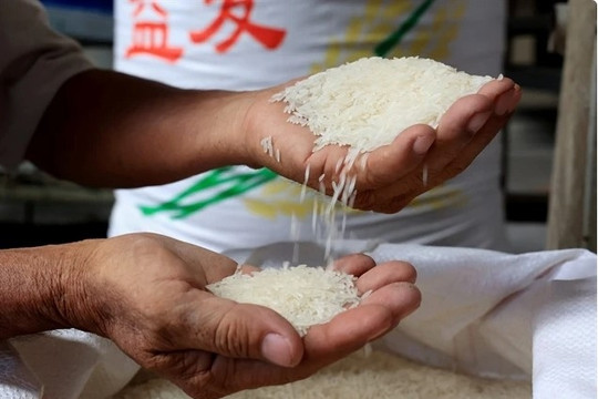 Vietnam's rice exports expected to have positive result in H2