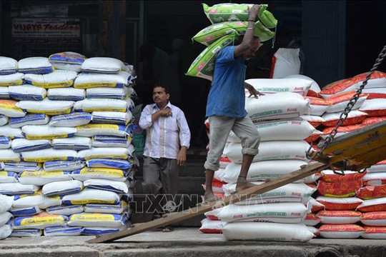 Giá gạo đi xuống trên thị trường châu Á