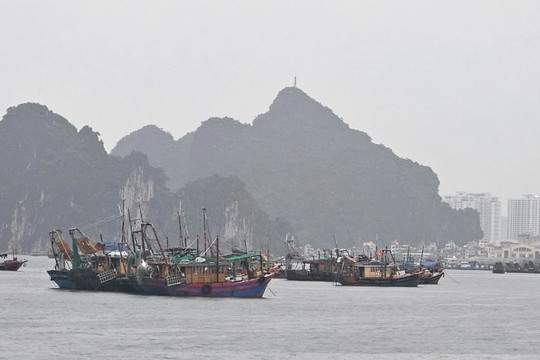 Hàng vạn du khách ở lại trên các đảo Quảng Ninh, Hải Phòng chờ bão tan