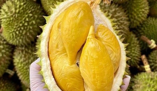 Durian exports forecast to top US$3 billion in 2024