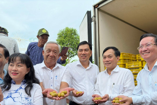 Can Tho City exports over 1 ton of longan to US, Australian markets