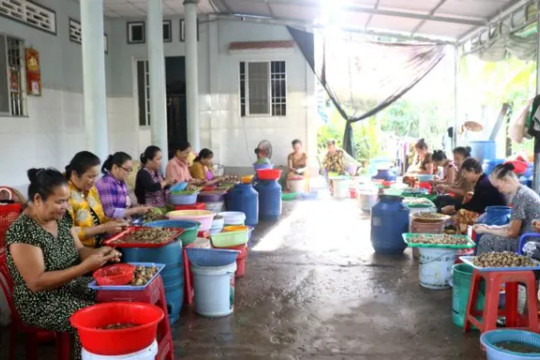 Vĩnh Long Province reduces poverty sustainably