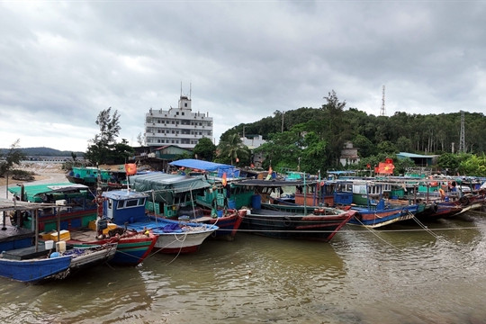 Localities dealing with consequences of Storm Prapiroon