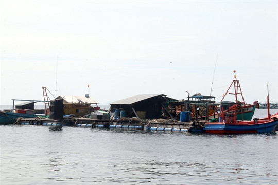 Kiên Giang Province is boom town for marine aquaculture