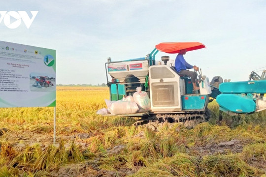 WB pledges support for Vietnam’s low-carbon rice farming project