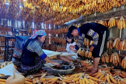 Thoải mái chơi ở ngôi nhà ngô chỉ với 10 ngàn đồng khi đến Mù Cang Chải