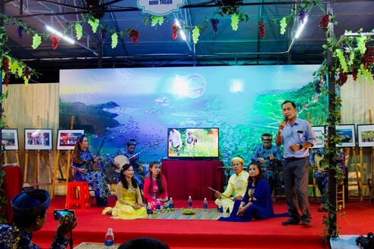 HCM City Television supports 'đàn ca tài tử' clubs