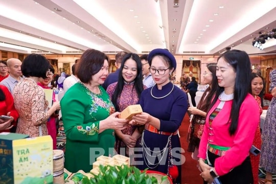 Women leaders in cooperatives take centre stage in Hanoi summit