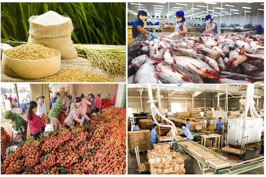 Top three importers of Vietnamese agro-forestry-fishery products