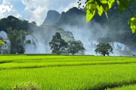 Discovering Ban Gioc waterfall - one of the most beautiful worldwide