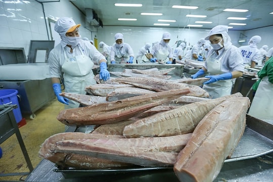 RoK increases tuna imports from Vietnamese market