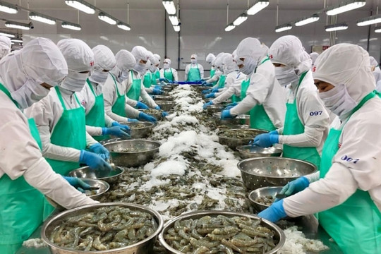 Vietnamese shrimp exports to US market drop by 7% in Q2