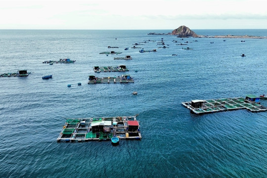 Ninh Thuận Province applies advanced techniques in marine aquaculture