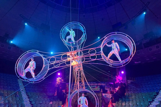 Circus artists to compete in national talent contest