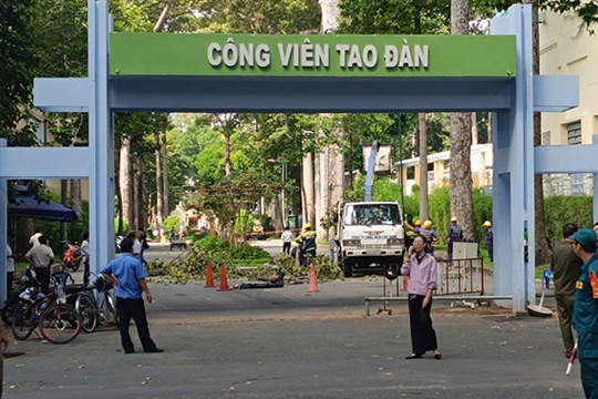 Fallen branch kills two, injures three in HCM City's downtown park