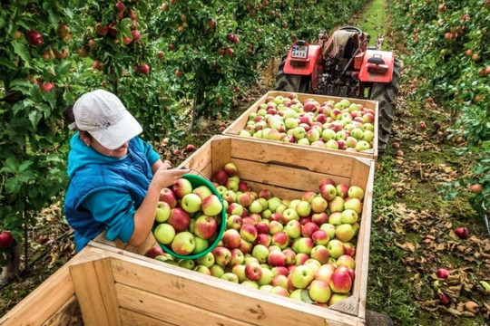 Polish agricultural products promoted in Vietnam