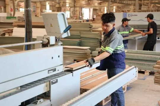 Positive signs for Vietnam's wood exports amidst challenges