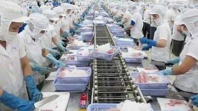 RoK remains largest consumer of Vietnamese squid and octopus