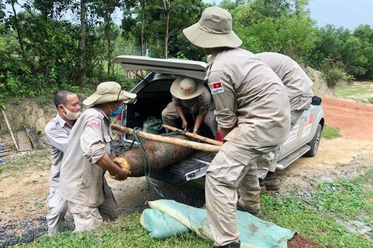 Life blooms again on unexploded ordnance hotspot in central Việt Nam