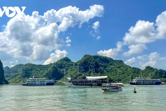 Two Vietnamese boat tours listed among world's best experiences