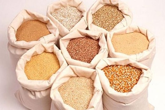 China emerges as largest importer of Vietnamese animal feed and raw materials