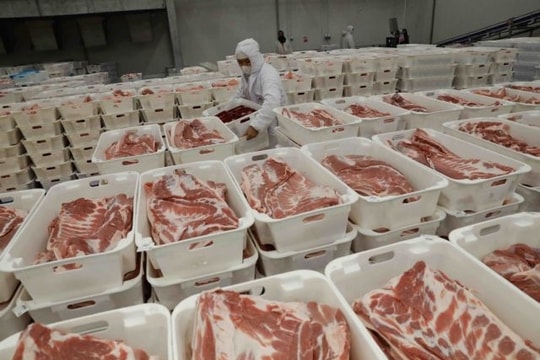 Livestock industry needs to increase pork supply for Tet