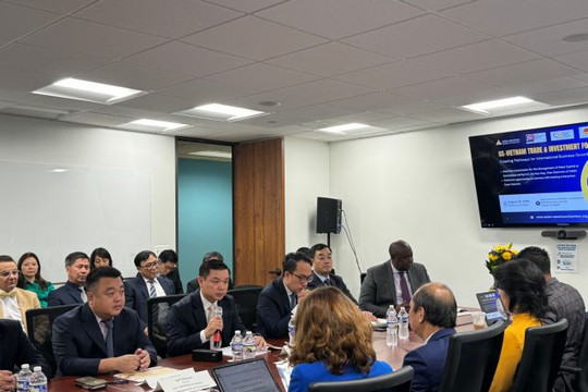 Việt Nam, US seek cooperation opportunities in energy, manufacturing, insurance, finance