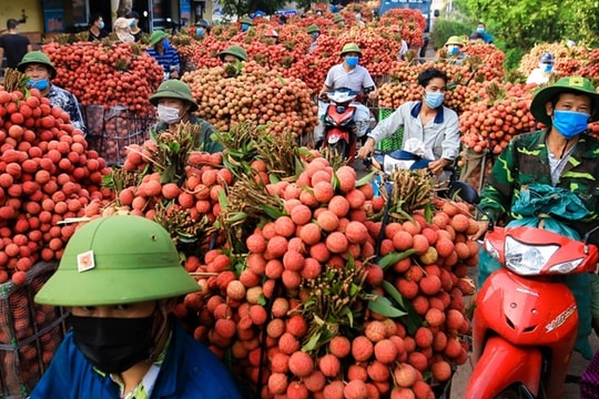 Vietnam – China trade on the road to US$200 billion ambitious goal this year